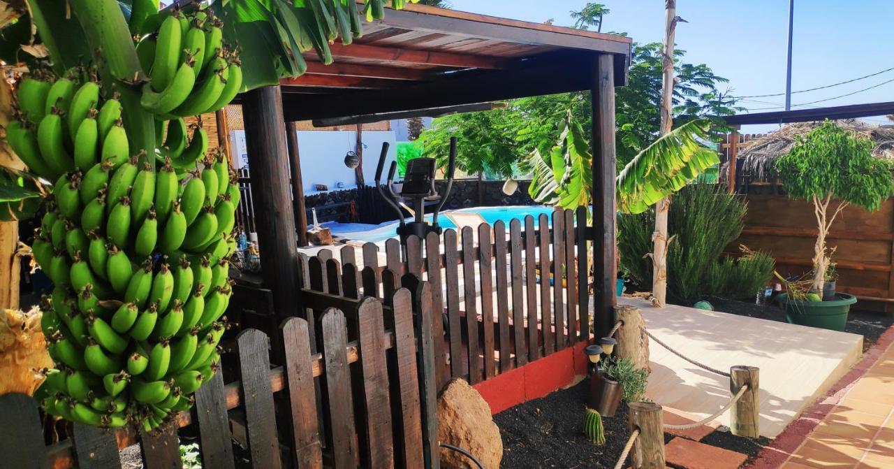 Finca Villa Lucia - El Mirador Mácher Dış mekan fotoğraf